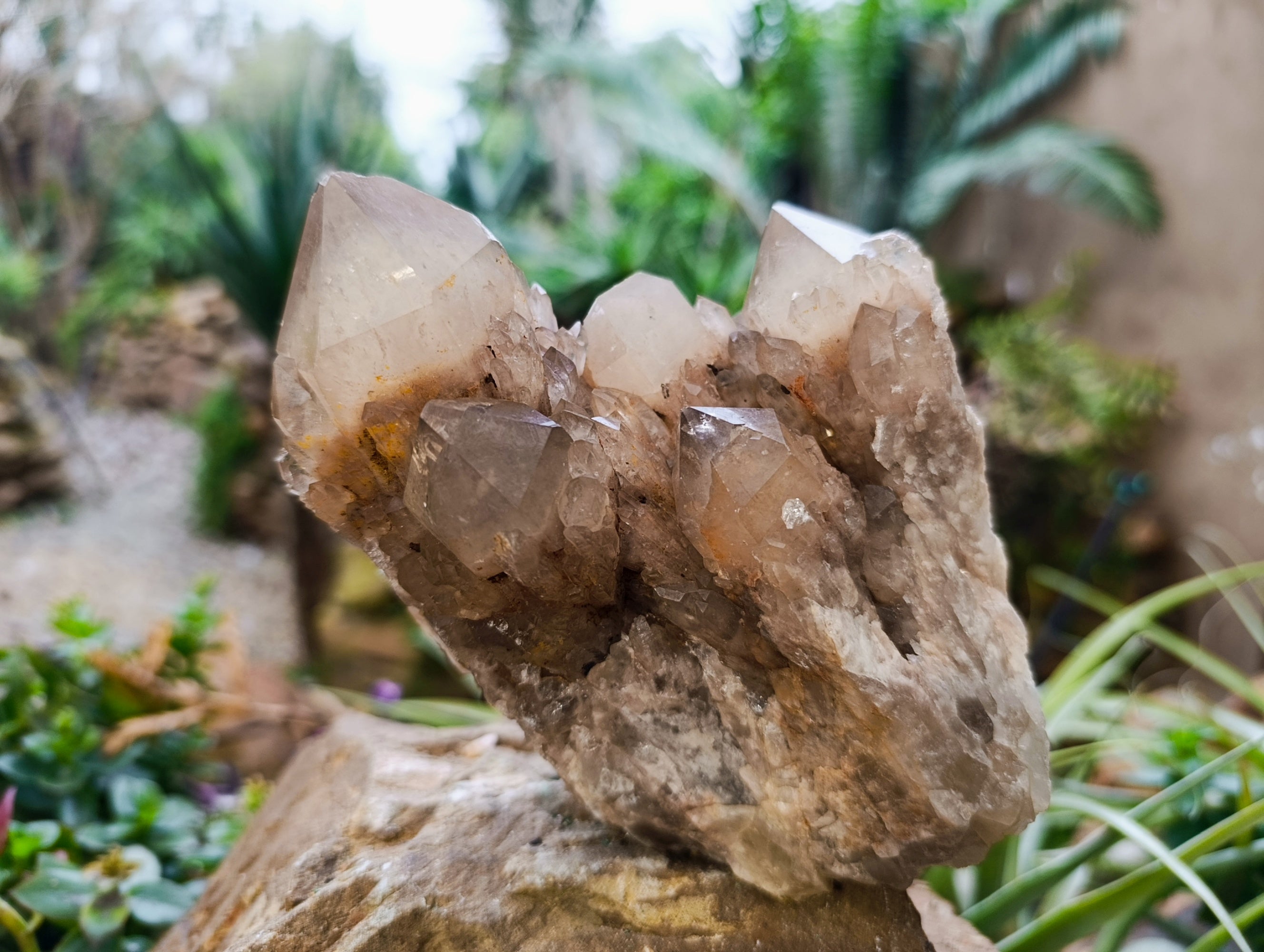 Natural Smokey Phantom Quartz Cluster x 2 From Luena, Congo - Toprock Gemstones and Minerals 