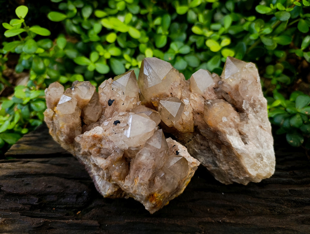 Natural Smokey Phantom Quartz Cluster x 2 From Luena, Congo - Toprock Gemstones and Minerals 
