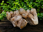 Natural Smokey Phantom Quartz Cluster x 2 From Luena, Congo - Toprock Gemstones and Minerals 