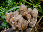 Natural Smokey Phantom Quartz Cluster x 2 From Luena, Congo - Toprock Gemstones and Minerals 