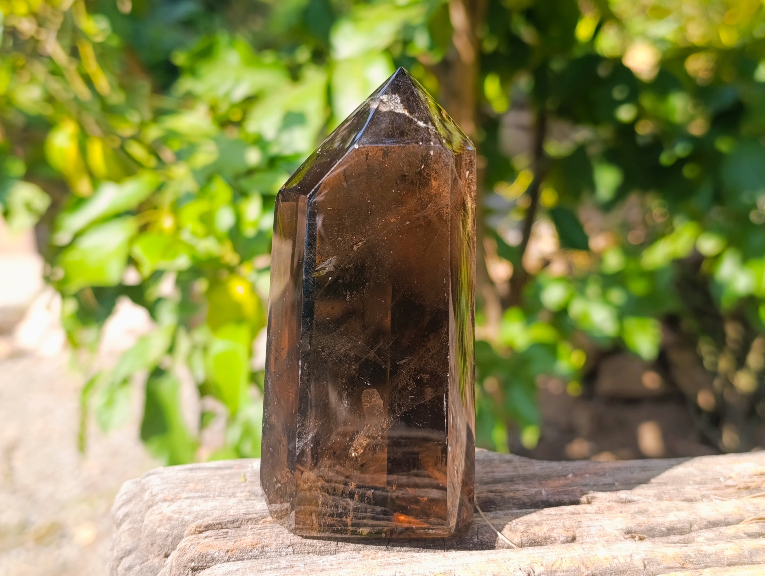 Polished Mixed Smokey Quartz & Chlorite "Moss "Inclusion Quartz Crystals x 3 from Madagascar - Toprock Gemstones and Minerals 