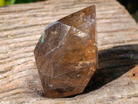 Polished Mixed Smokey Quartz & Chlorite "Moss "Inclusion Quartz Crystals x 3 from Madagascar - Toprock Gemstones and Minerals 