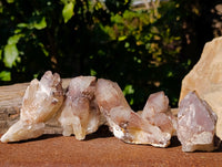 Natural Red Hematoid Quartz Crystals x 12 From Karoi, Zimbabwe
