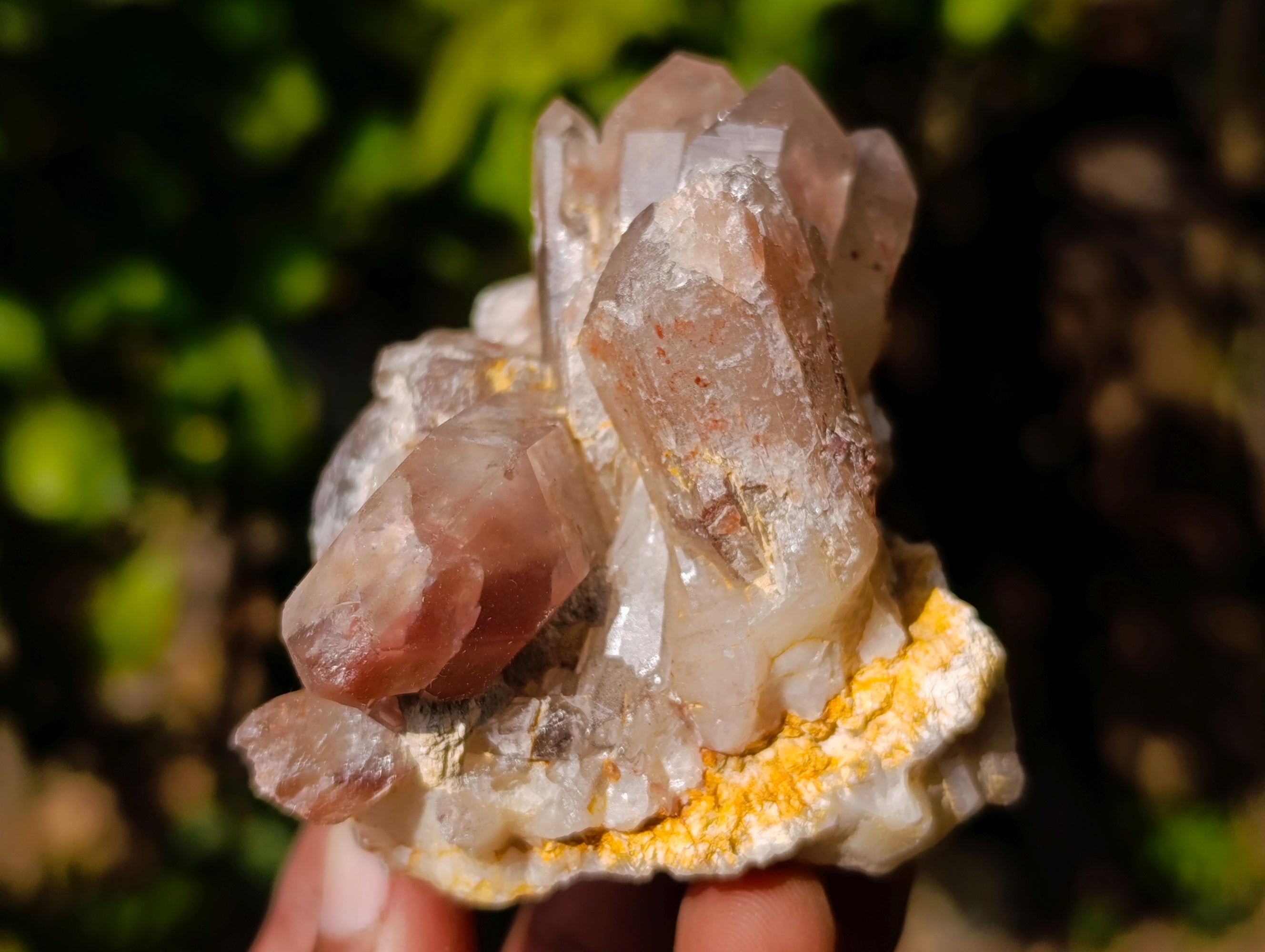 Natural Red Hematoid Quartz Crystals x 12 From Karoi, Zimbabwe - Toprock Gemstones and Minerals 