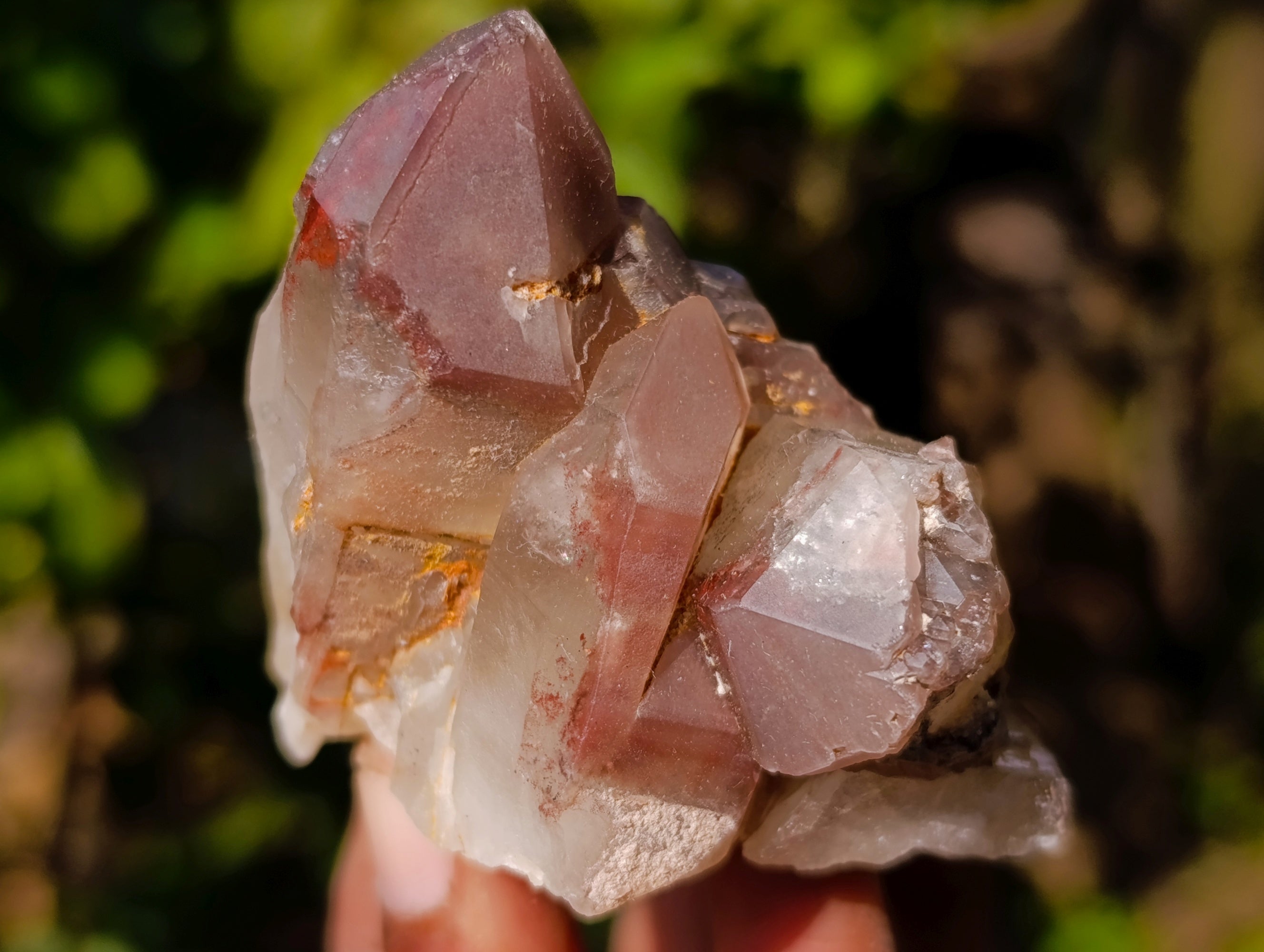 Natural Red Hematoid Quartz Crystals x 12 From Karoi, Zimbabwe - Toprock Gemstones and Minerals 