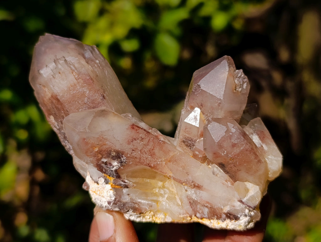 Natural Red Hematoid Quartz Crystals x 12 From Karoi, Zimbabwe - Toprock Gemstones and Minerals 