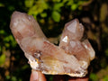 Natural Red Hematoid Quartz Crystals x 12 From Karoi, Zimbabwe - Toprock Gemstones and Minerals 