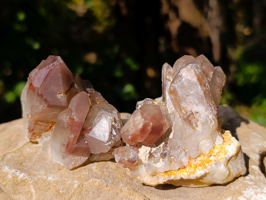 Natural Red Hematoid Quartz Crystals x 12 From Karoi, Zimbabwe - Toprock Gemstones and Minerals 