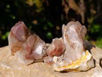 Natural Red Hematoid Quartz Crystals x 12 From Karoi, Zimbabwe