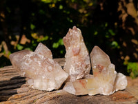 Natural Red Hematoid Quartz Crystals x 12 From Karoi, Zimbabwe