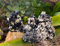 Natural Schorl Black Tourmaline on Orthoclase Matrix x 3 From Erongo, Namibia - Toprock Gemstones and Minerals 