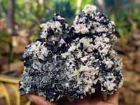 Natural Schorl Black Tourmaline on Orthoclase Matrix x 3 From Erongo, Namibia - Toprock Gemstones and Minerals 