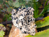 Natural Schorl Black Tourmaline on Orthoclase Matrix x 3 From Erongo, Namibia - Toprock Gemstones and Minerals 