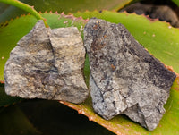 Natural Rare Pharaoh Stone Pyrite Cobbed Specimens x 12 From Iron Duke Mine, Zimbabwe - Toprock Gemstones and Minerals 