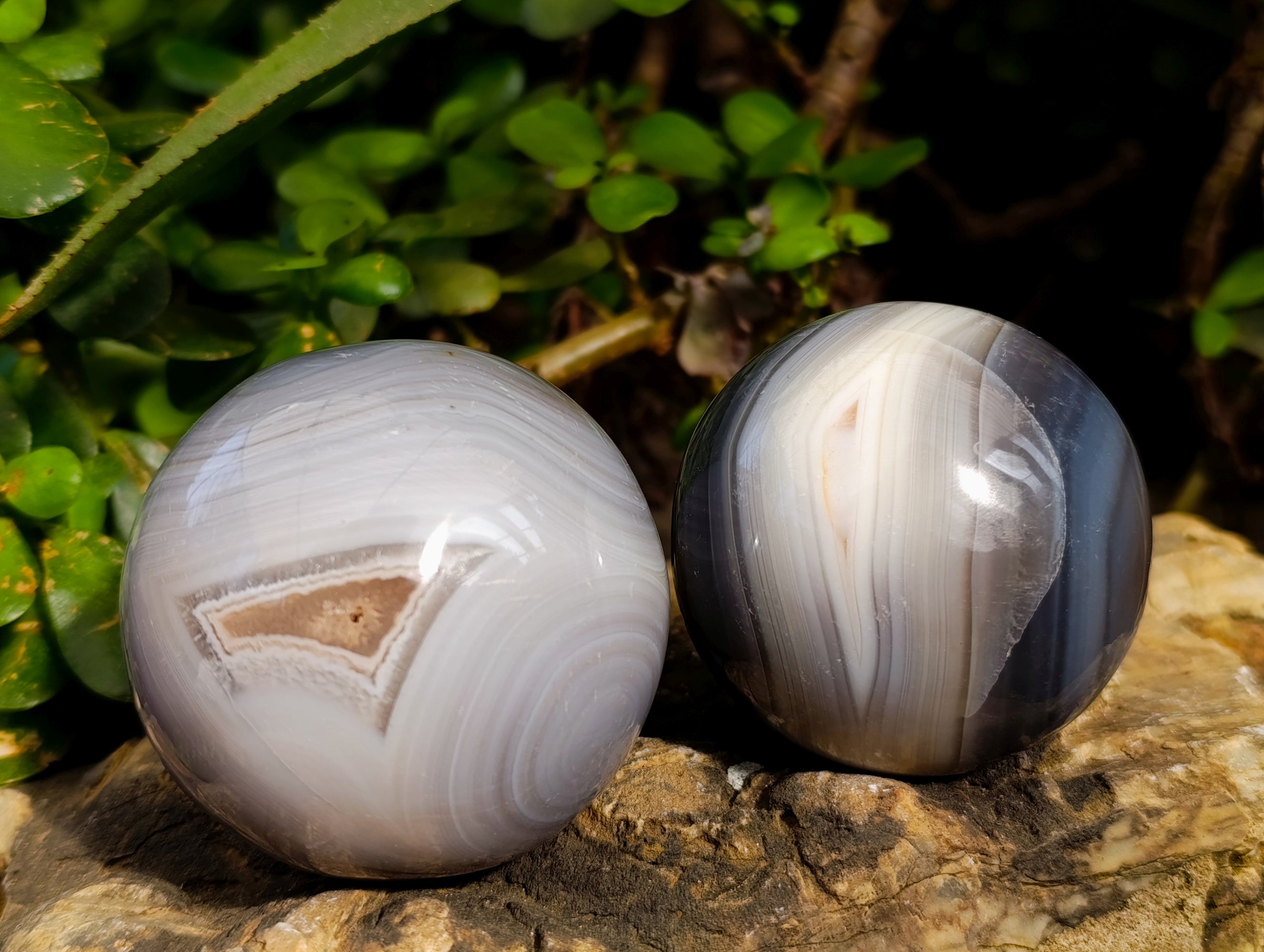 Polished Banded Agate Spheres x 4 From Madagascar - Toprock Gemstones and Minerals 
