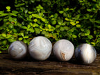 Polished Banded Agate Spheres x 4 From Madagascar - Toprock Gemstones and Minerals 