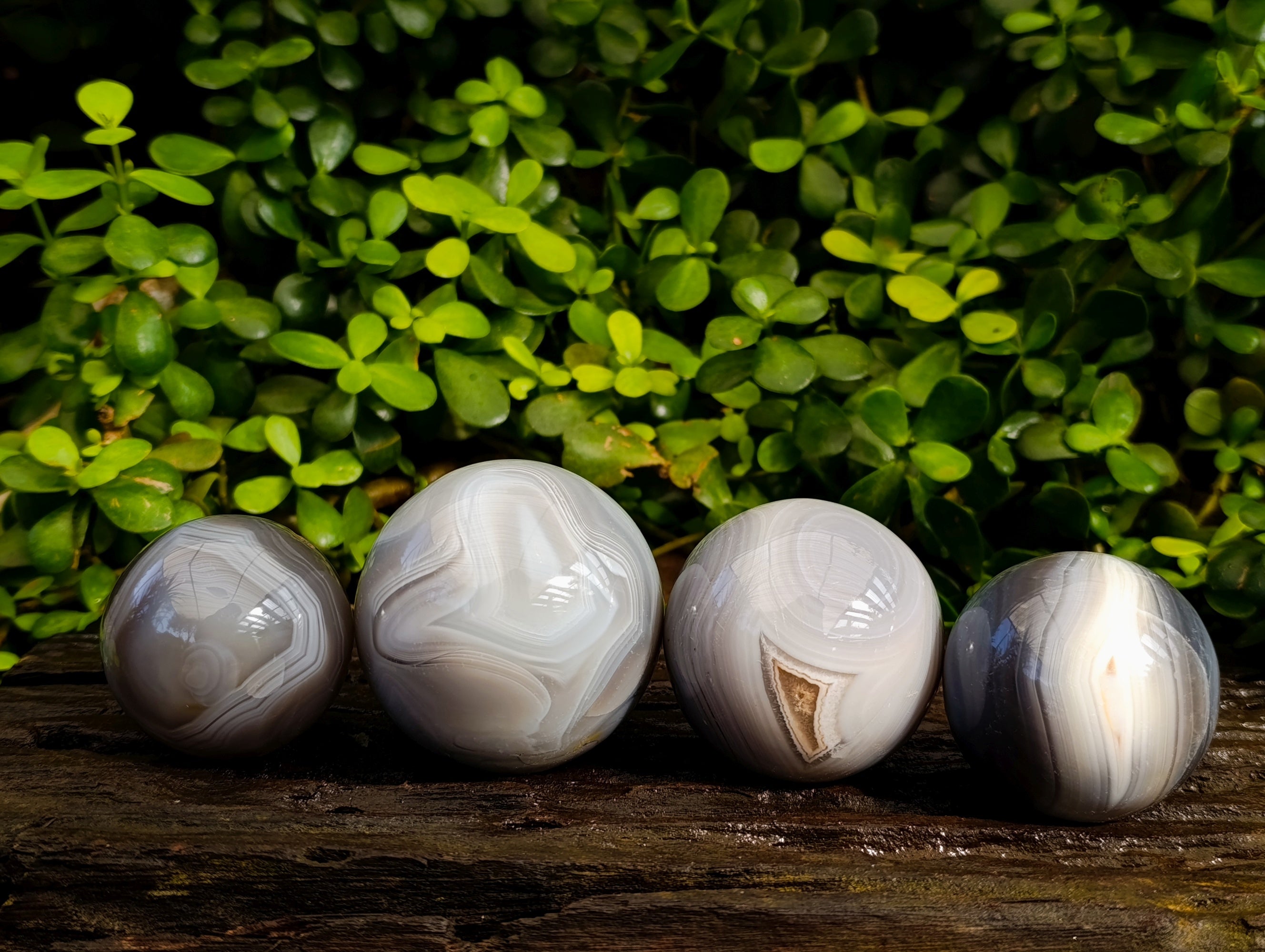 Polished Banded Agate Spheres x 4 From Madagascar - Toprock Gemstones and Minerals 