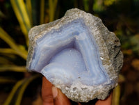 Natural Blue Lace Agate Geode x 12 From Nsanje, Malawi - Toprock Gemstones and Minerals 