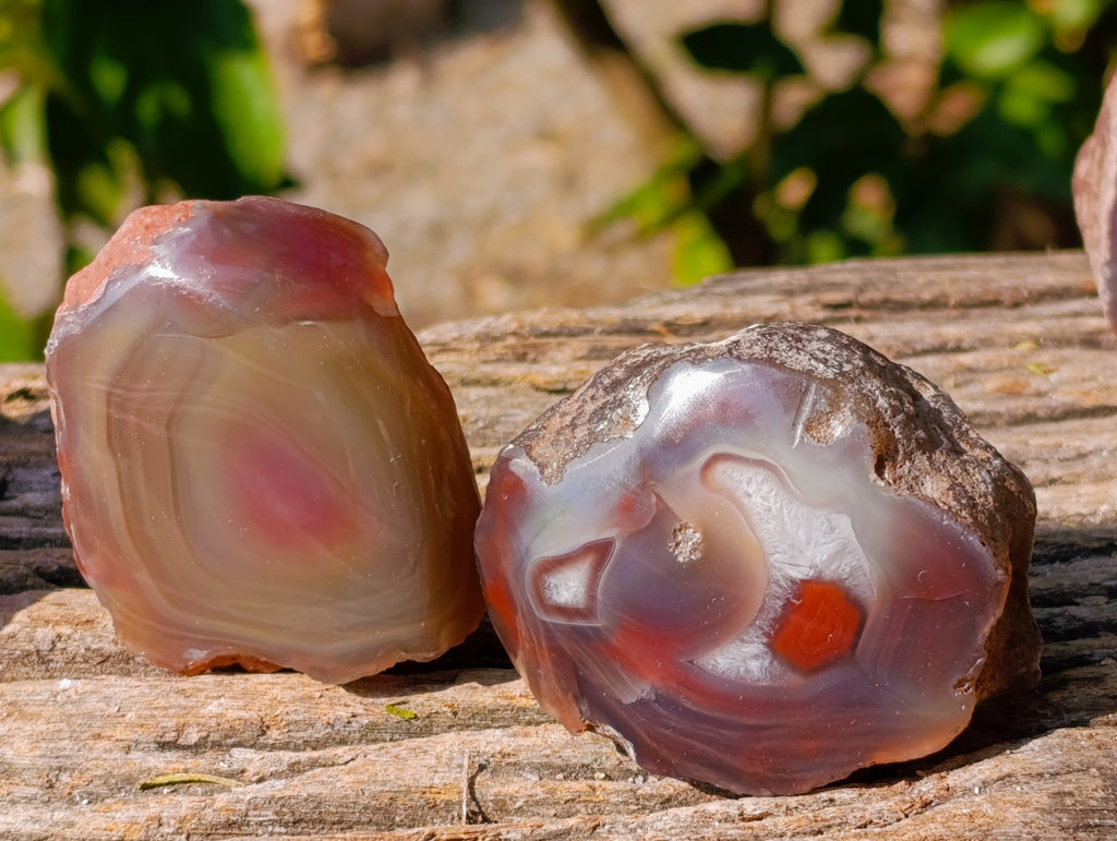 Polished On One Side Red Sashe River Agate Nodules x 20 From Zimbabwe - Toprock Gemstones and Minerals 