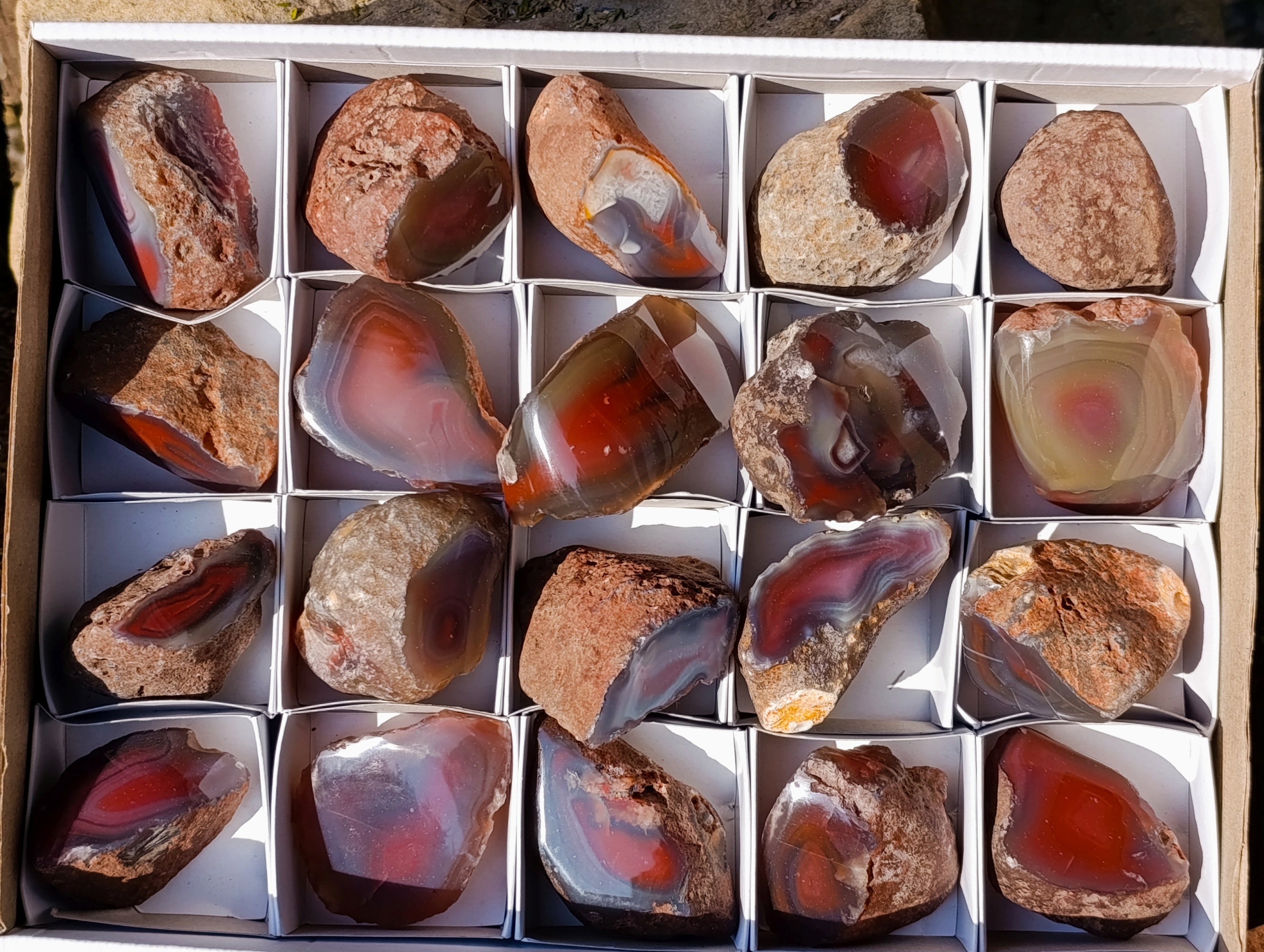 Polished On One Side Red Sashe River Agate Nodules x 20 From Zimbabwe - Toprock Gemstones and Minerals 