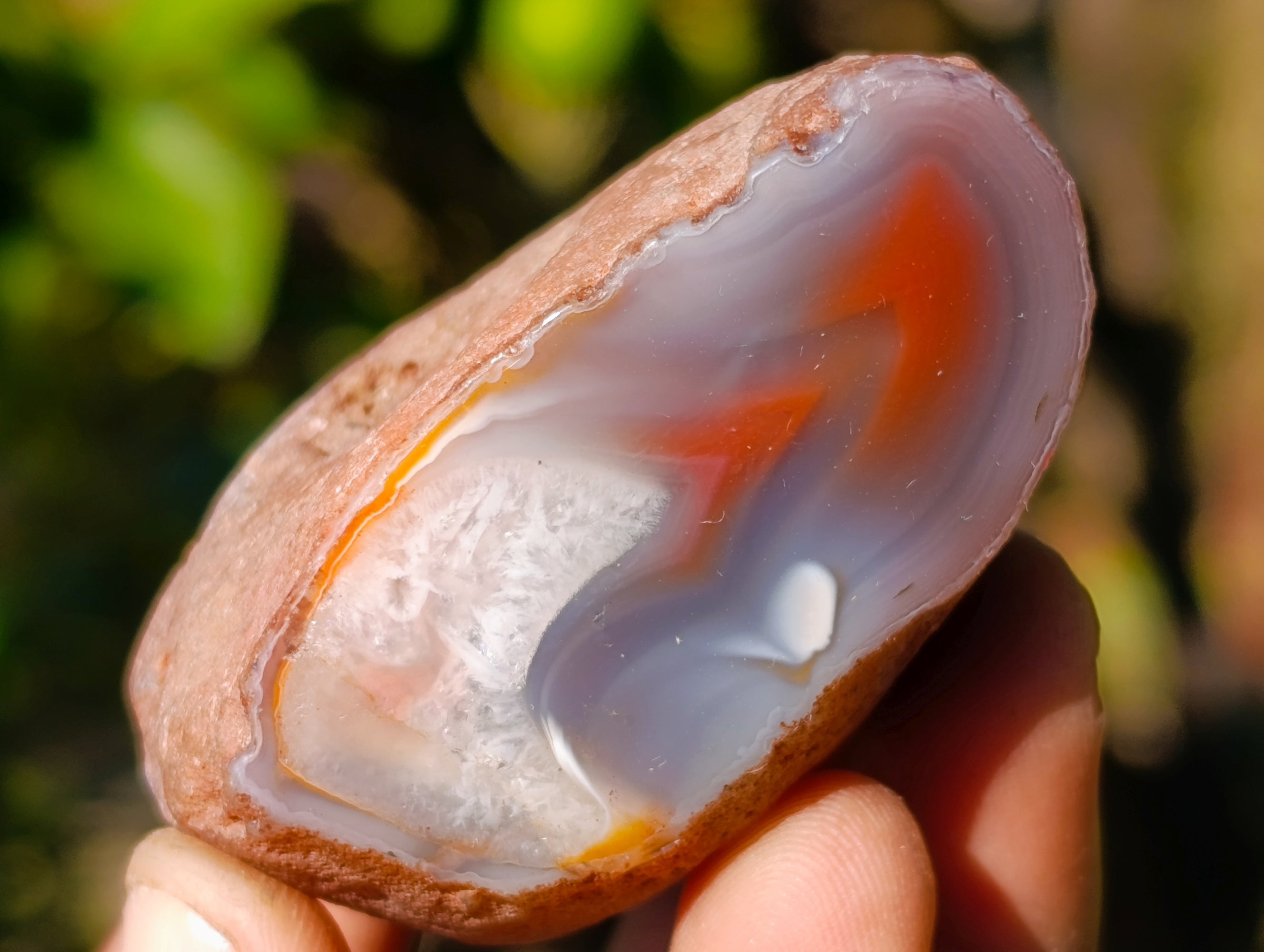 Polished On One Side Red Sashe River Agate Nodules x 20 From Zimbabwe - Toprock Gemstones and Minerals 