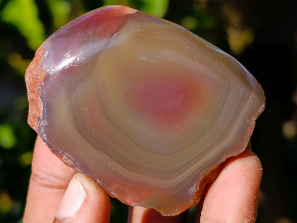Polished On One Side Red Sashe River Agate Nodules x 20 From Zimbabwe - Toprock Gemstones and Minerals 
