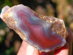 Polished On One Side Red Sashe River Agate Nodules x 20 From Zimbabwe - Toprock Gemstones and Minerals 