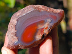 Polished On One Side Red Sashe River Agate Nodules x 20 From Zimbabwe - Toprock Gemstones and Minerals 