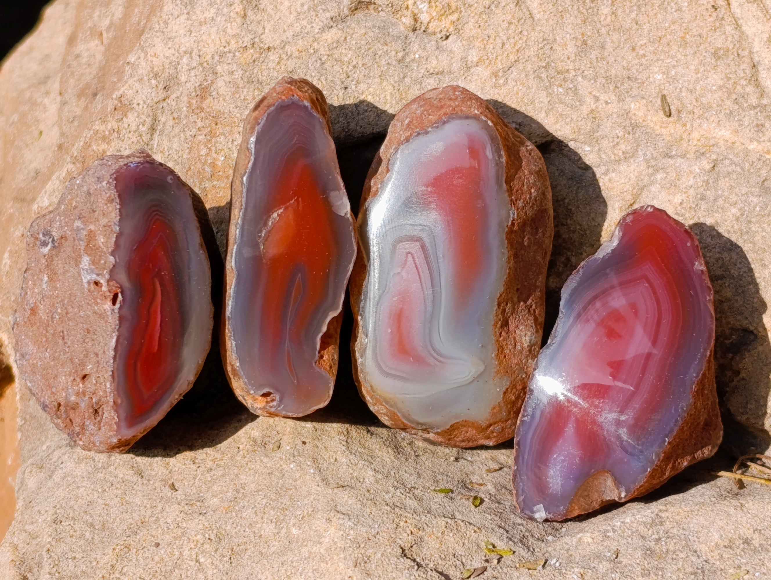 Polished On One Side Red Sashe River Agate Nodules x 20 From Zimbabwe - Toprock Gemstones and Minerals 