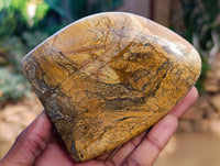 Polished Picture Stone Jasper Standing Free Forms x 2 From Ais-Ais, Namibia - Toprock Gemstones and Minerals 