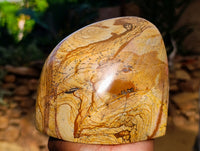 Polished Picture Stone Jasper Standing Free Forms x 2 From Ais-Ais, Namibia - Toprock Gemstones and Minerals 