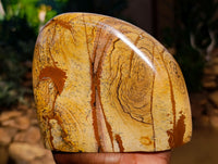 Polished Picture Stone Jasper Standing Free Forms x 2 From Ais-Ais, Namibia - Toprock Gemstones and Minerals 