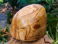 Polished Picture Stone Jasper Standing Free Forms x 2 From Ais-Ais, Namibia - Toprock Gemstones and Minerals 
