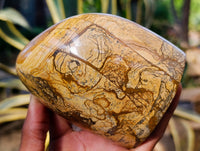 Polished Picture Stone Jasper Standing Free Forms x 2 From Ais-Ais, Namibia - Toprock Gemstones and Minerals 