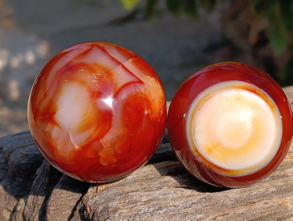 Polished Carnelian Agate Spheres x 6 From Madagascar - Toprock Gemstones and Minerals 