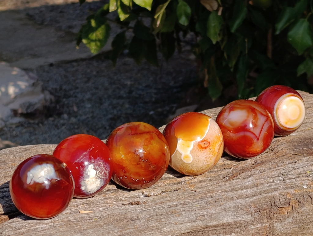 Polished Carnelian Agate Spheres x 6 From Madagascar - Toprock Gemstones and Minerals 