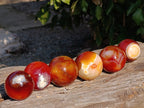 Polished Carnelian Agate Spheres x 6 From Madagascar - Toprock Gemstones and Minerals 