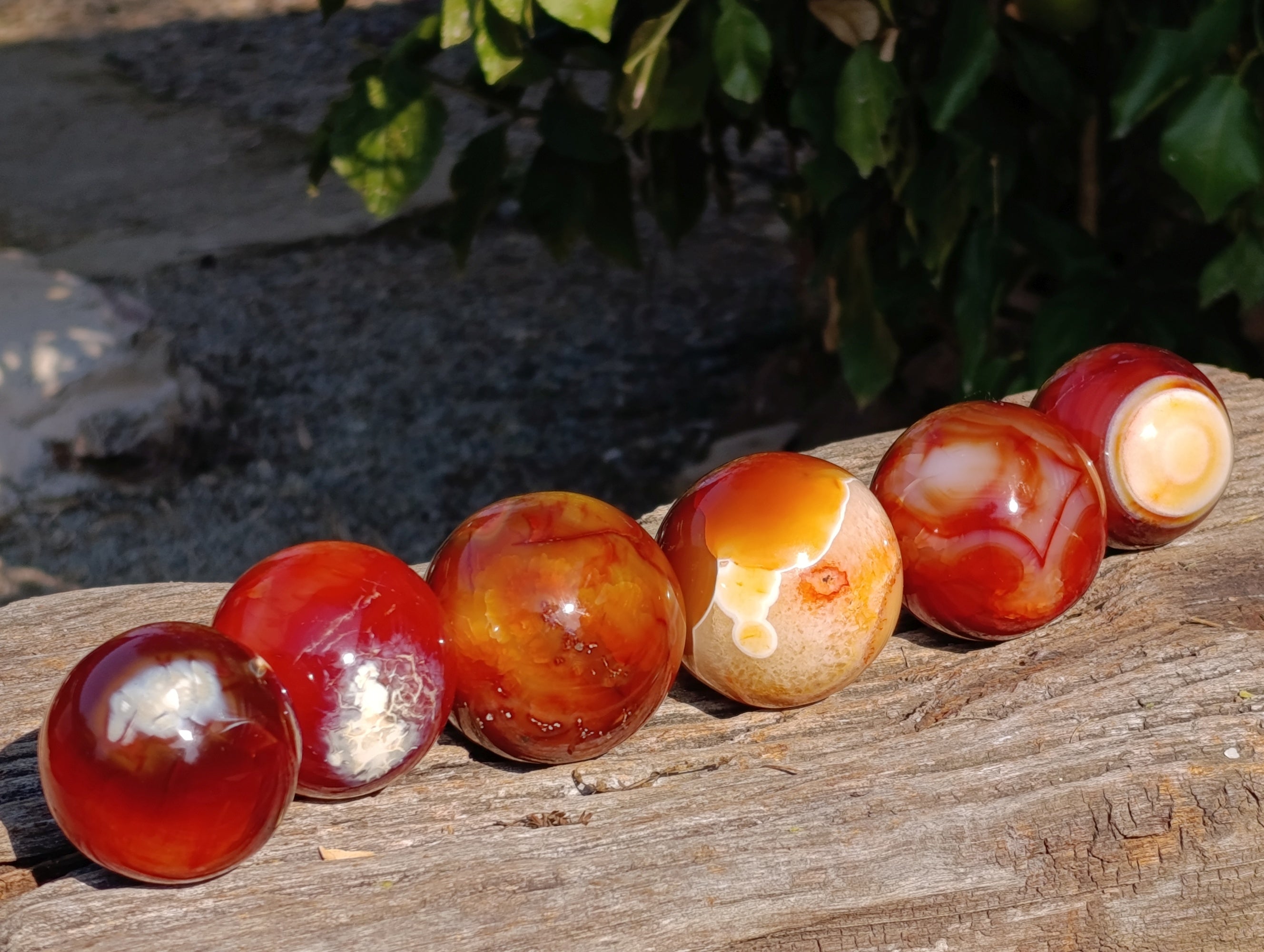 Polished Carnelian Agate Spheres x 6 From Madagascar - Toprock Gemstones and Minerals 