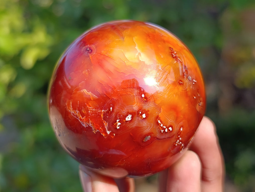 Polished Carnelian Agate Spheres x 6 From Madagascar - Toprock Gemstones and Minerals 