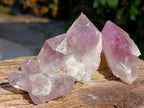 Natural Jacaranda Amethyst Single Quartz Crystals x 35 From Mumbwa, Zambia - Toprock Gemstones and Minerals 