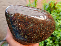 Polished Eclogite Standing Free Forms x 1 From Northern Cape, South Africa - Toprock Gemstones and Minerals 
