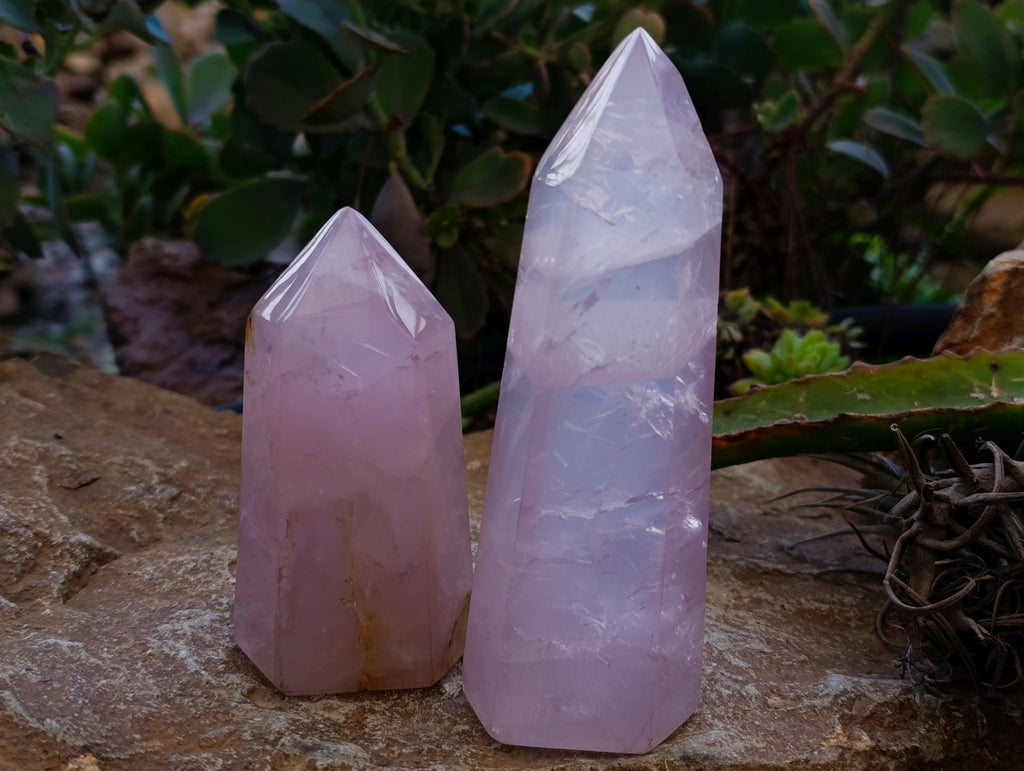 Polished Rose Quartz Crystal Points x 3 From Ambatondrazaka, Madagascar - Toprock Gemstones and Minerals 