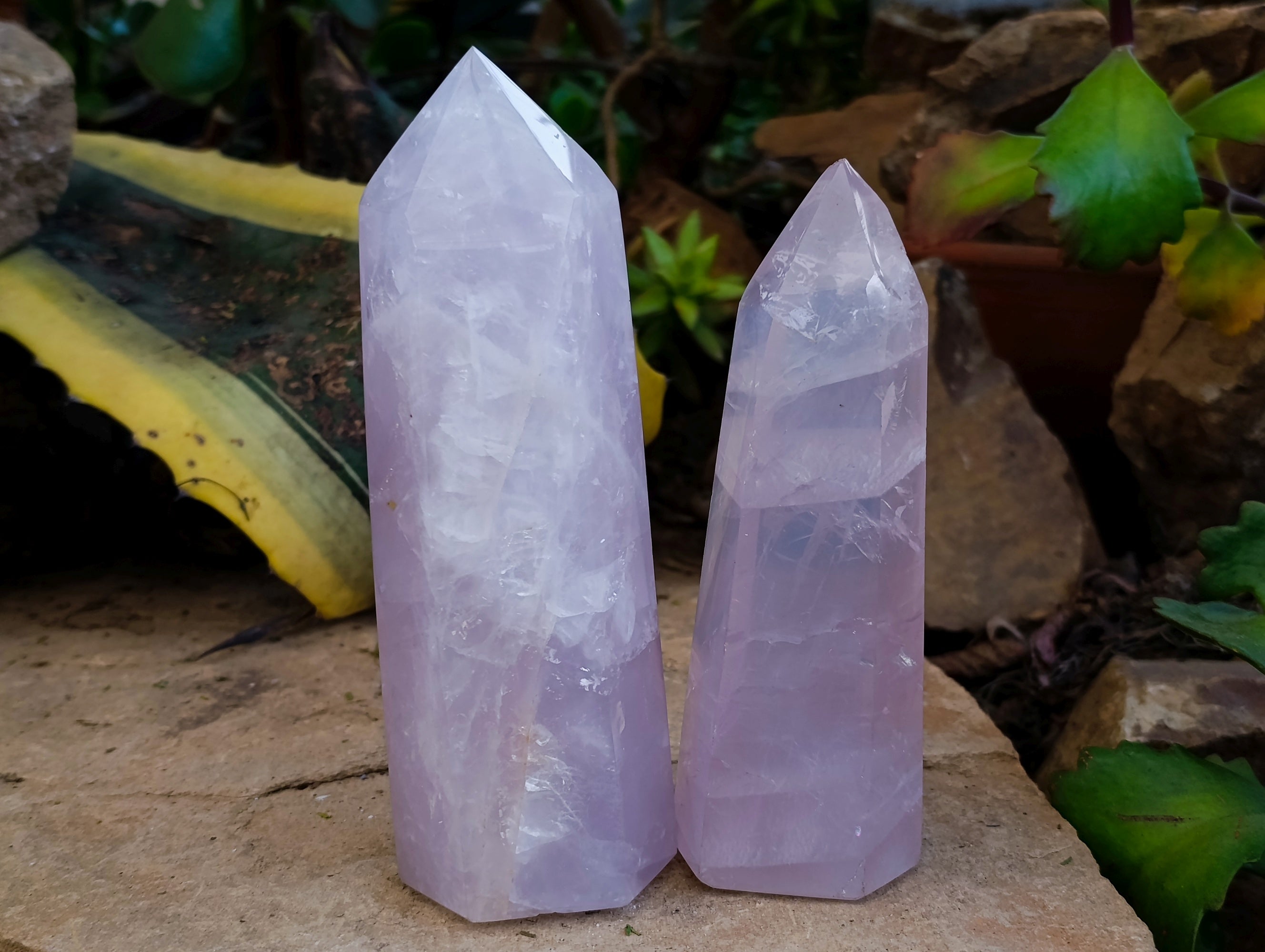 Polished Rose Quartz Crystal Points x 3 From Ambatondrazaka, Madagascar - Toprock Gemstones and Minerals 