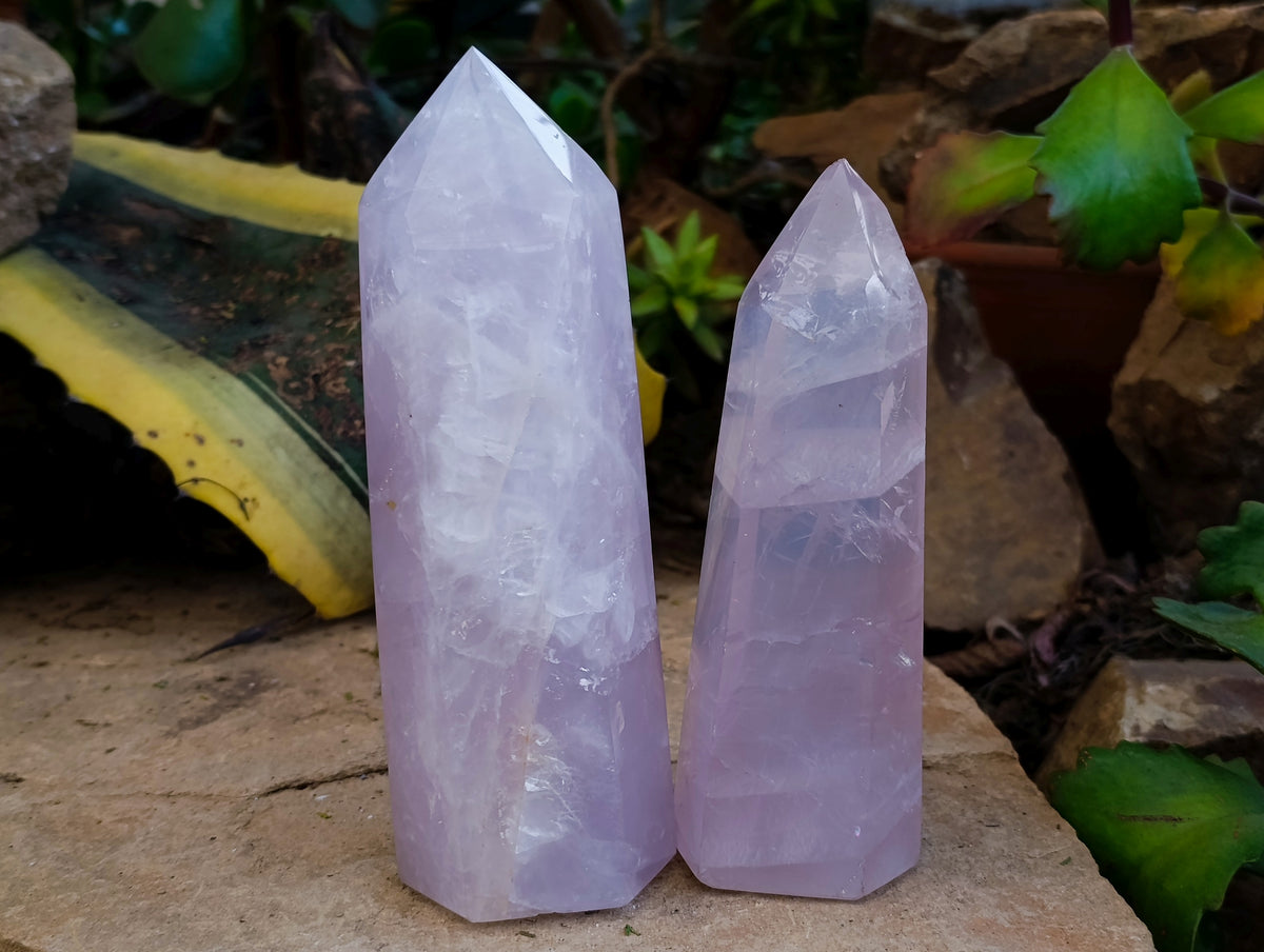 Polished Rose Quartz Crystal Points x 3 From Ambatondrazaka, Madagascar - Toprock Gemstones and Minerals 