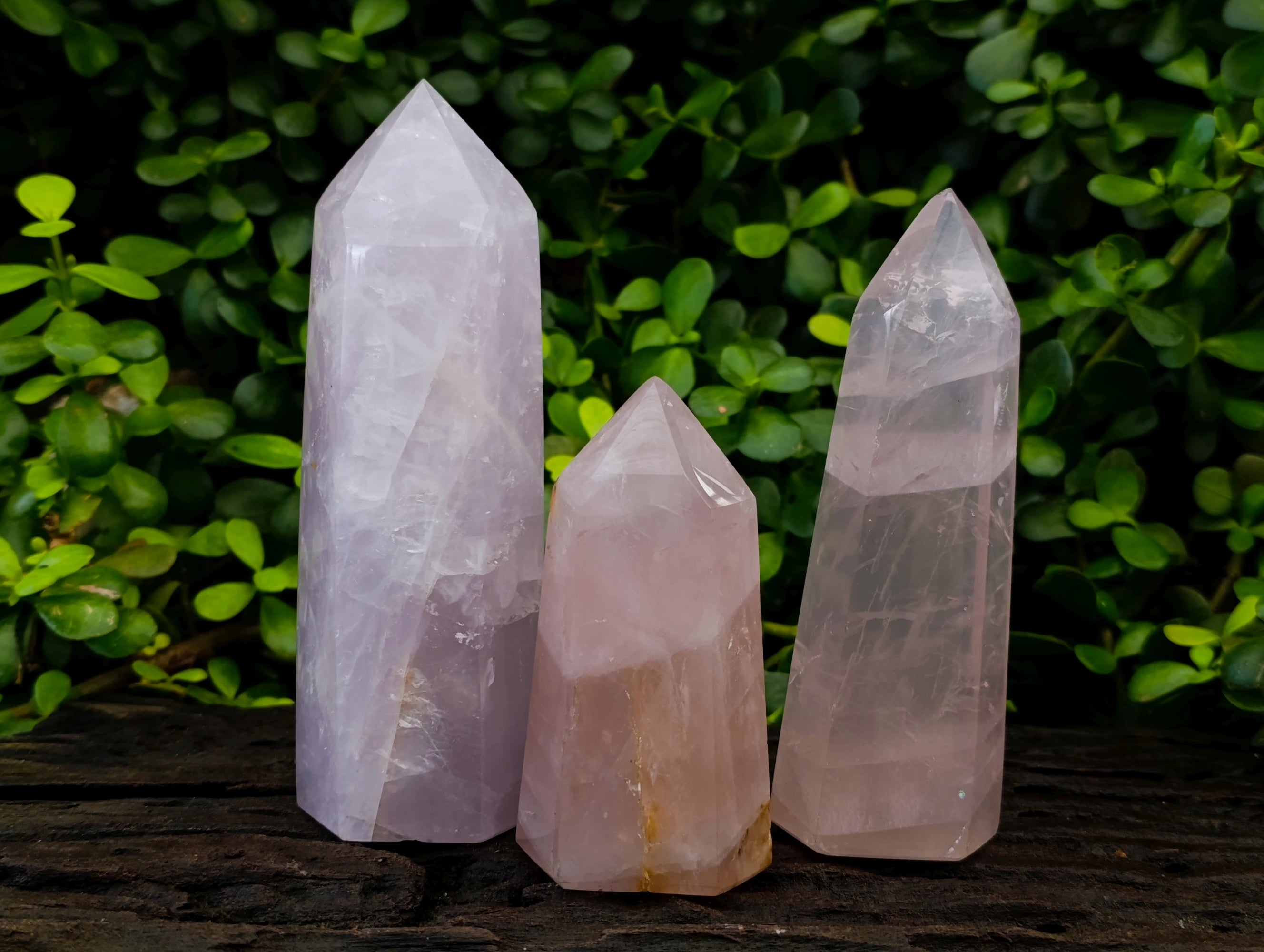 Polished Rose Quartz Crystal Points x 3 From Ambatondrazaka, Madagascar - Toprock Gemstones and Minerals 