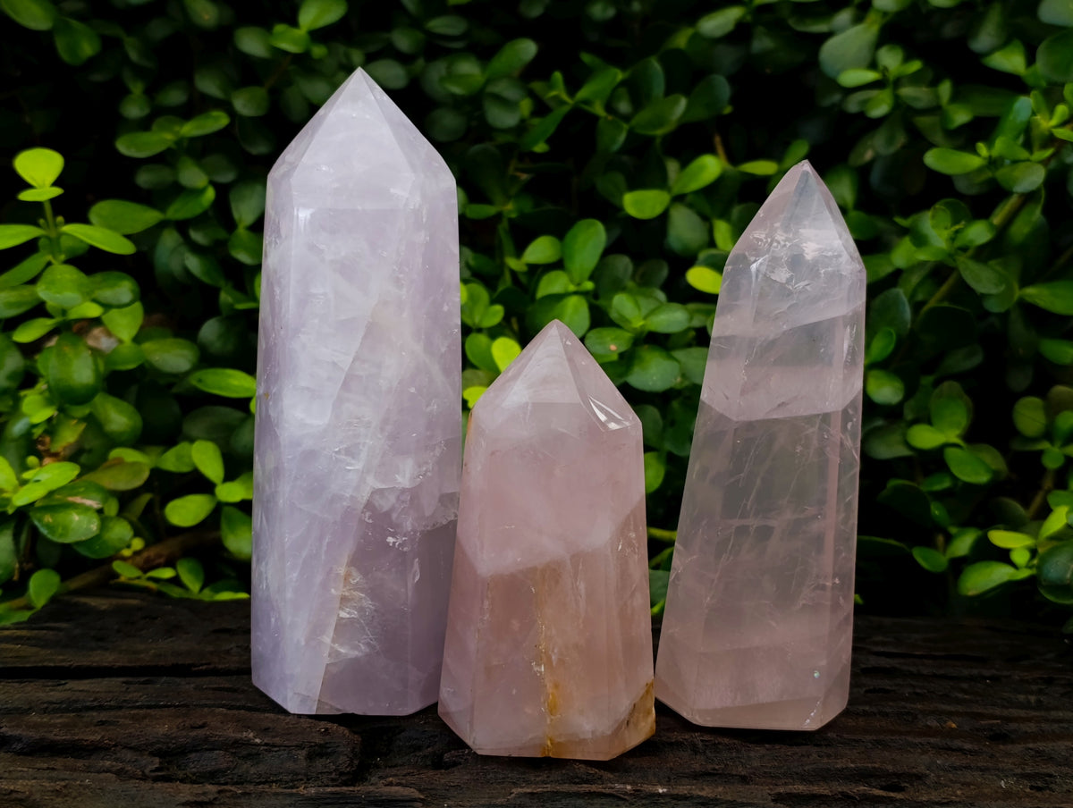 Polished Rose Quartz Crystal Points x 3 From Ambatondrazaka, Madagascar - Toprock Gemstones and Minerals 