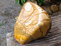 Polished Large Picture Stone Jasper Standing Free Form x 1 From Ais-Ais, Namibia - Toprock Gemstones and Minerals 