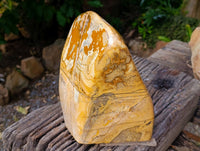 Polished Large Picture Stone Jasper Standing Free Form x 1 From Ais-Ais, Namibia - Toprock Gemstones and Minerals 