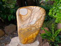 Polished Large Picture Stone Jasper Standing Free Form x 1 From Ais-Ais, Namibia - Toprock Gemstones and Minerals 