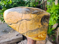 Polished Large Picture Stone Jasper Standing Free Form x 1 From Ais-Ais, Namibia - Toprock Gemstones and Minerals 
